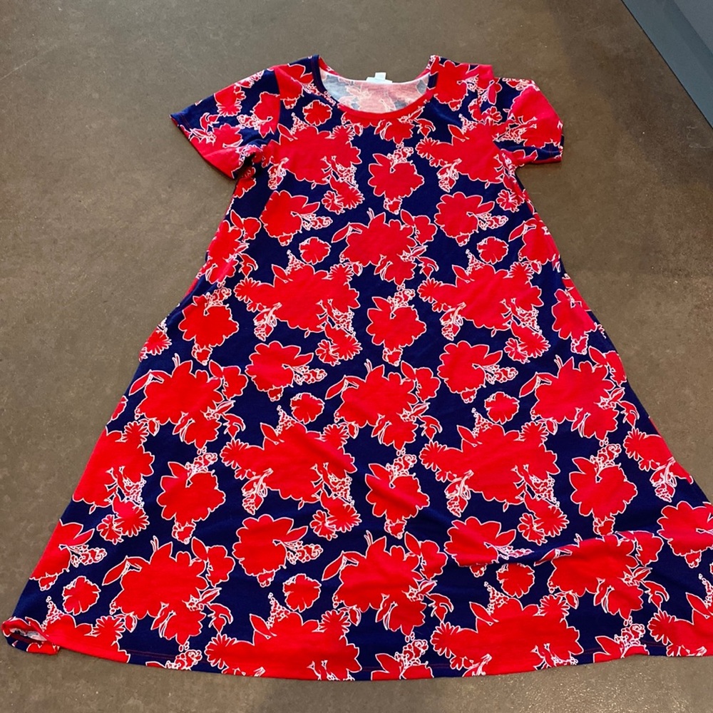 LuLaRoe Jessie swing dress